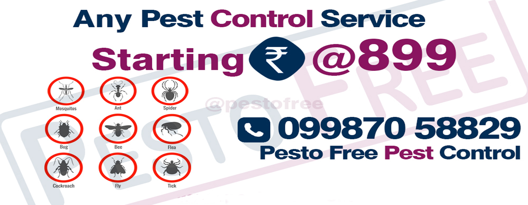 Pest Control in Mumbai